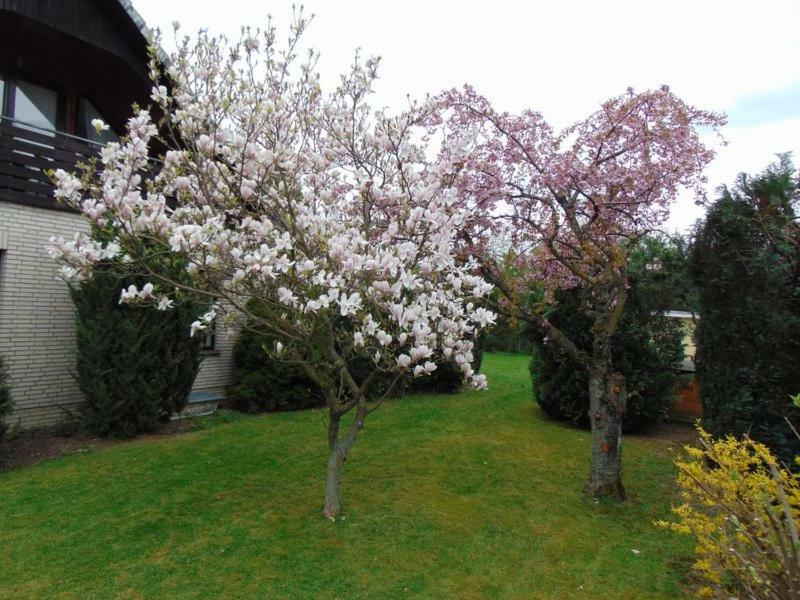 Ferienwohnung Holzberger Goslar Zewnętrze zdjęcie